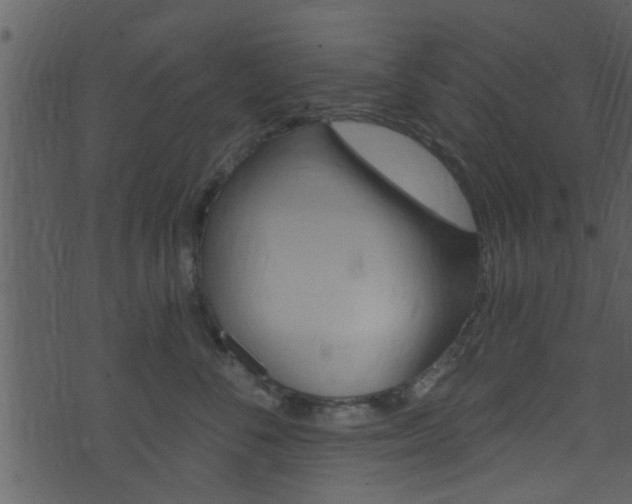 X0000074260716200608250900