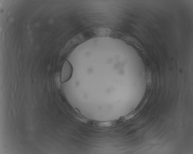 X0000074260717200608250900