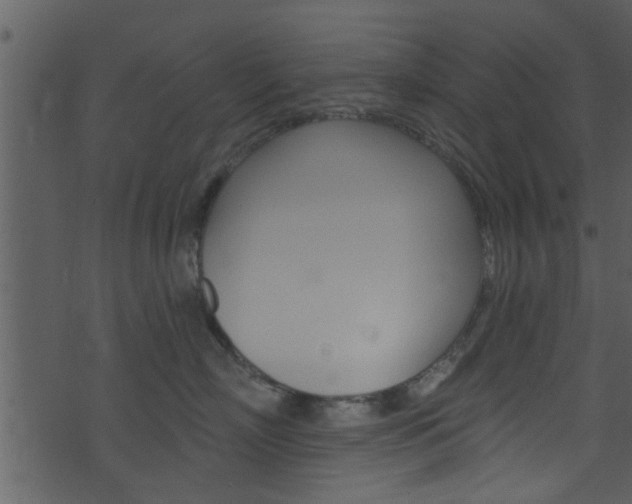 X0000074260718200608250900