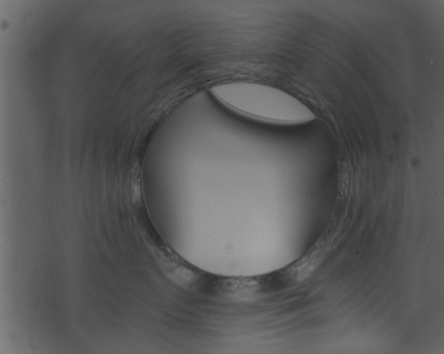 X0000074260719200608250900