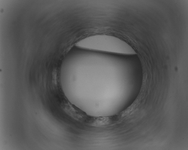 X0000074260720200608250900