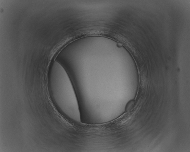 X0000074260721200608250859