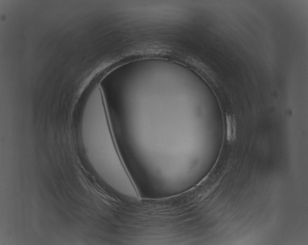 X0000074260723200608250859