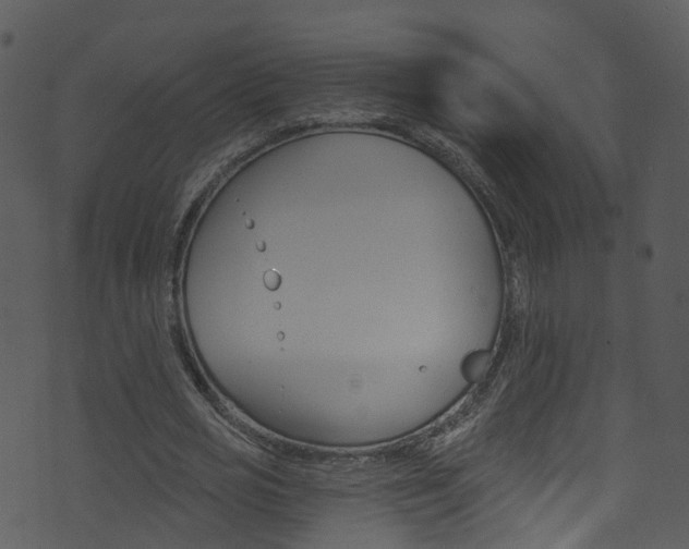 X0000074260725200608250859