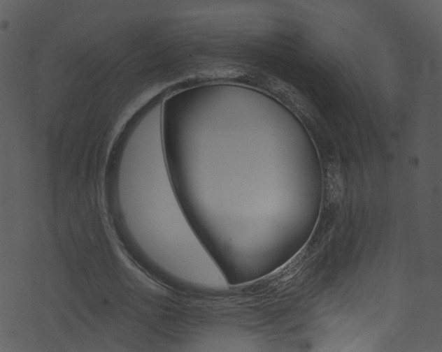 X0000074260726200608250859