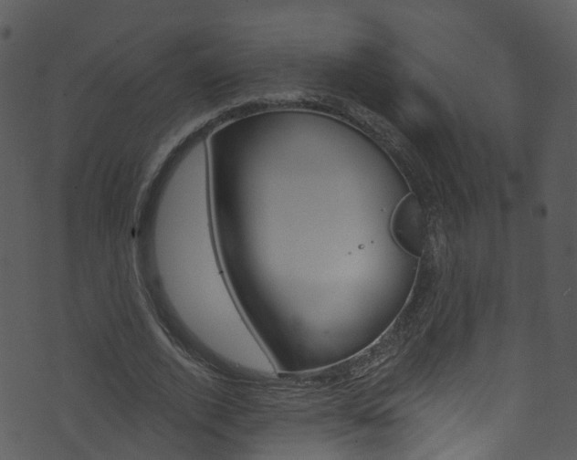 X0000074260728200608250859