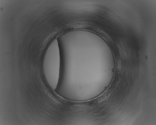 X0000074260733200608250859