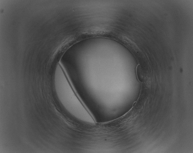 X0000074260735200608250859