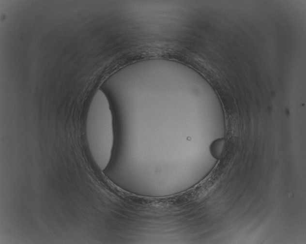 X0000074260737200608250859