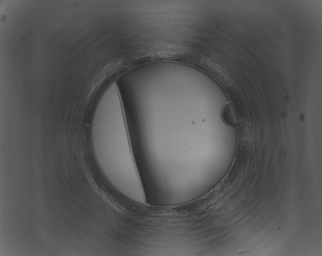 X0000074260738200608250859