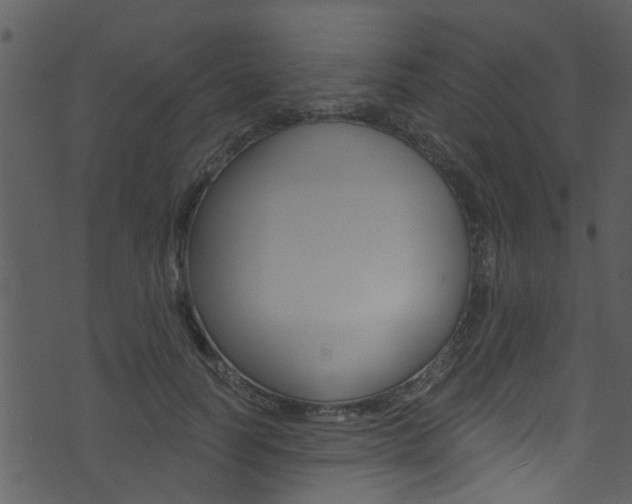 X0000074260746200608250900