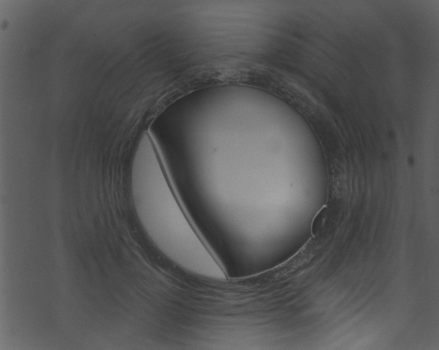 X0000074260748200608250900