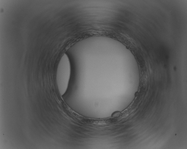 X0000074260749200608250900