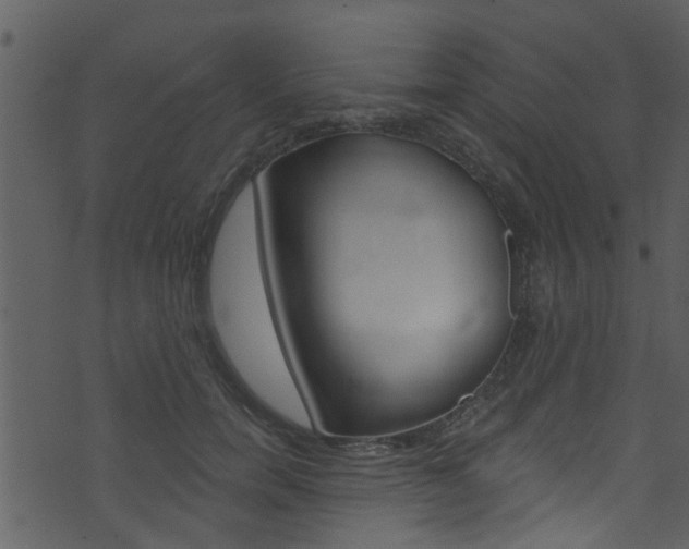 X0000074260750200608250900