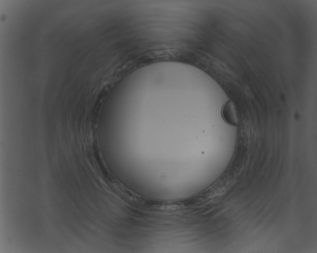 X0000074260751200608250900