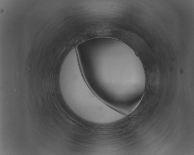 X0000074260752200608250900