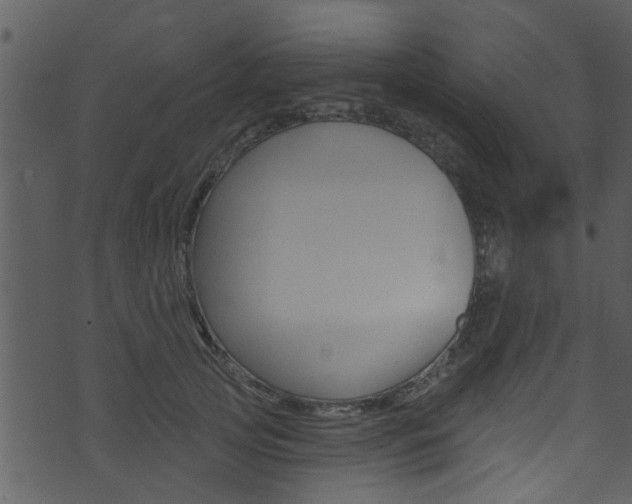 X0000074260753200608250900