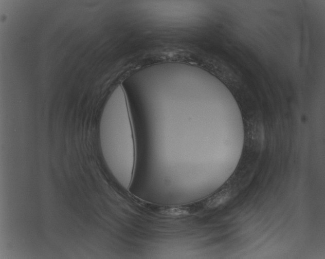 X0000074260754200608250900