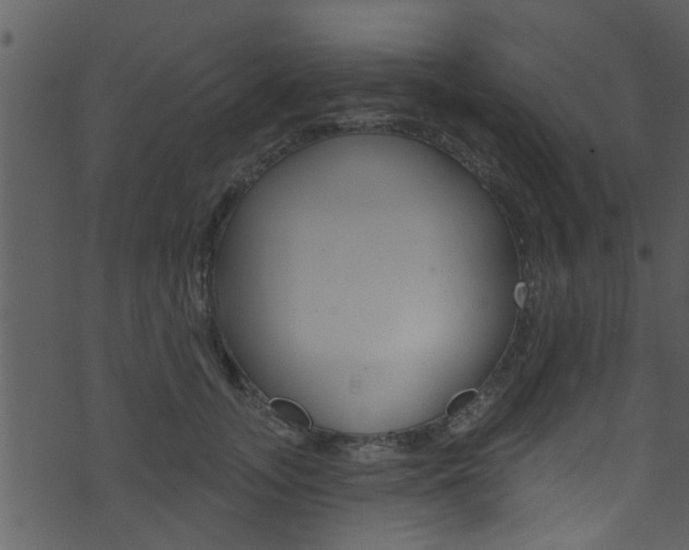 X0000074260755200608250900