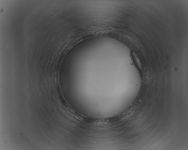 X0000074260756200608250900