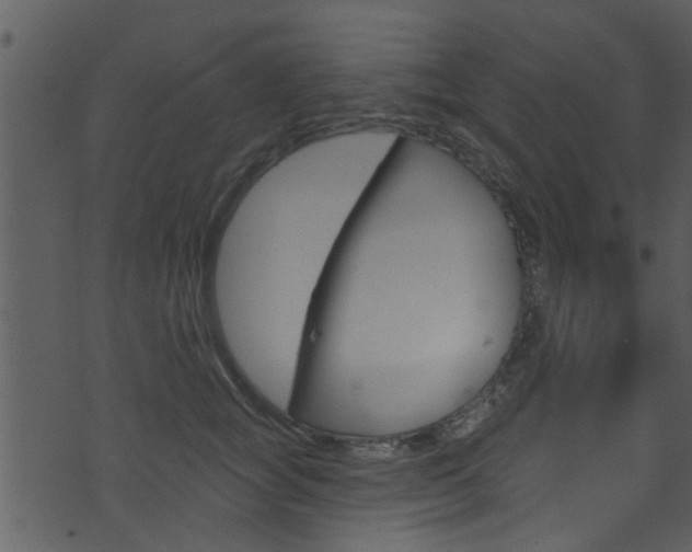 X0000074260757200608250900