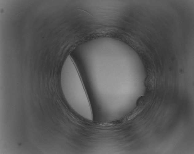 X0000074260758200608250900