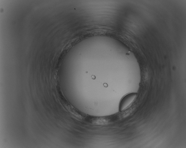 X0000074260759200608250900