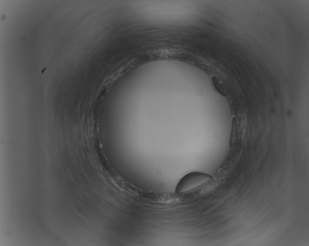 X0000074260760200608250900