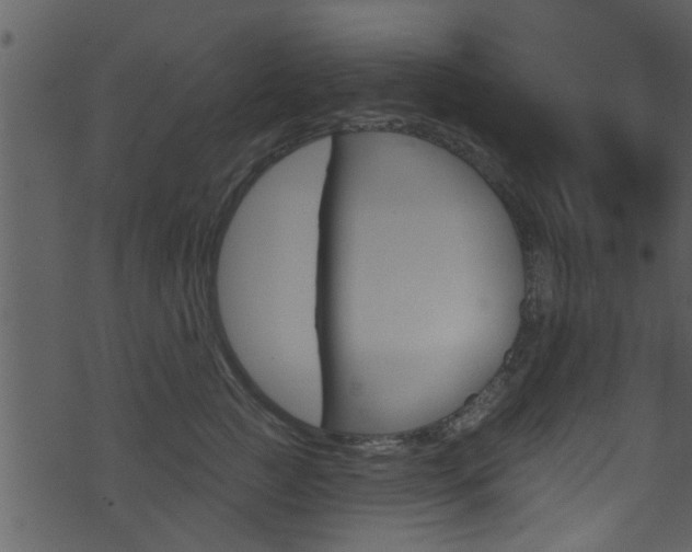 X0000074260761200608250900