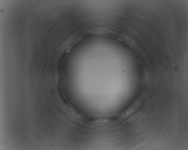 X0000074260762200608250900