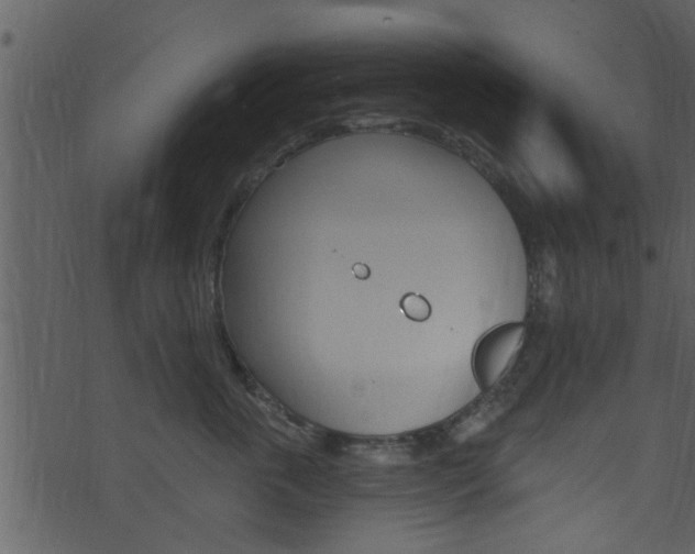 X0000074260763200608250900