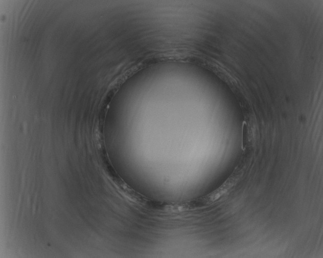 X0000074260764200608250900