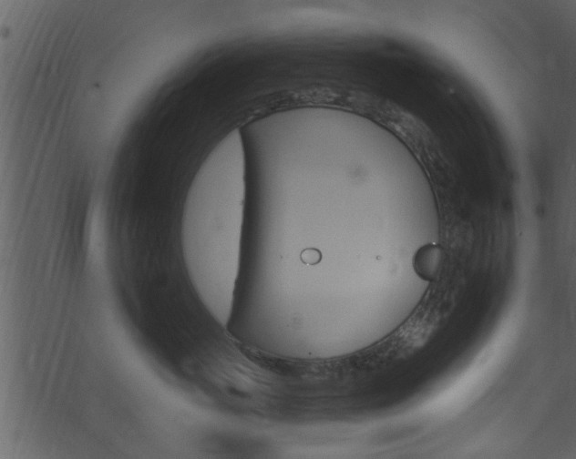 X0000074260765200608250900