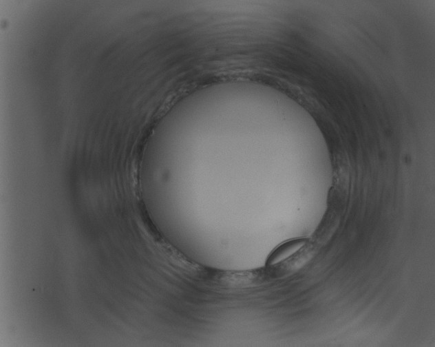 X0000074260767200608250900