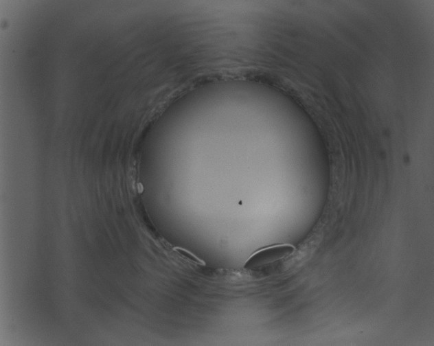 X0000074260768200608250900