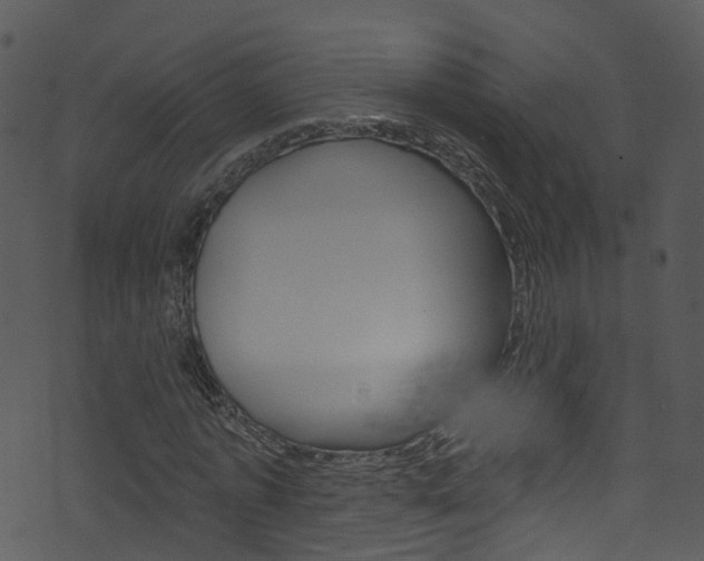 X0000074260773200608250859