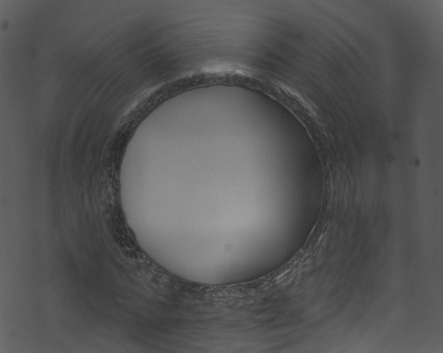 X0000074260776200608250859