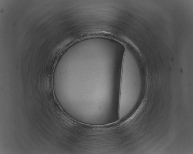 X0000074260777200608250859