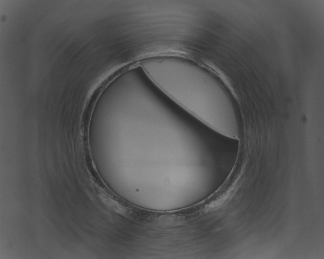 X0000074260779200608250859