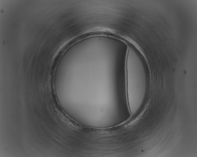 X0000074260783200608250859