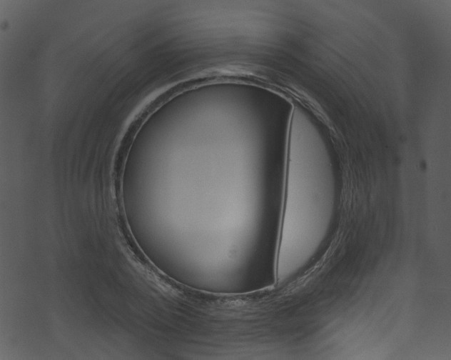 X0000074260784200608250859
