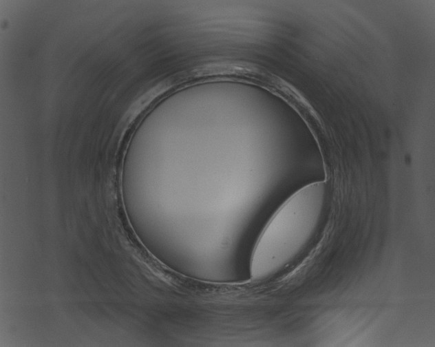 X0000074260786200608250859