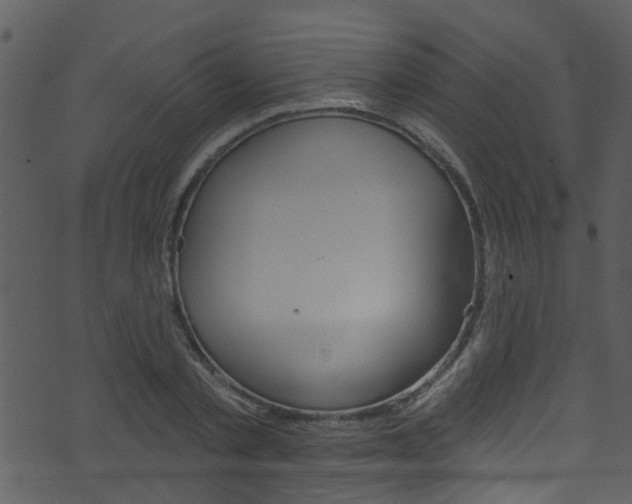 X0000074260789200608250859