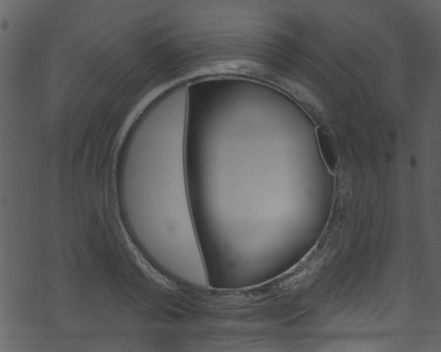 X0000074260792200608250859