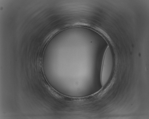 X0000074260793200608250859