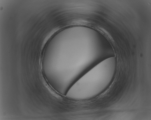 X0000074260796200608250859