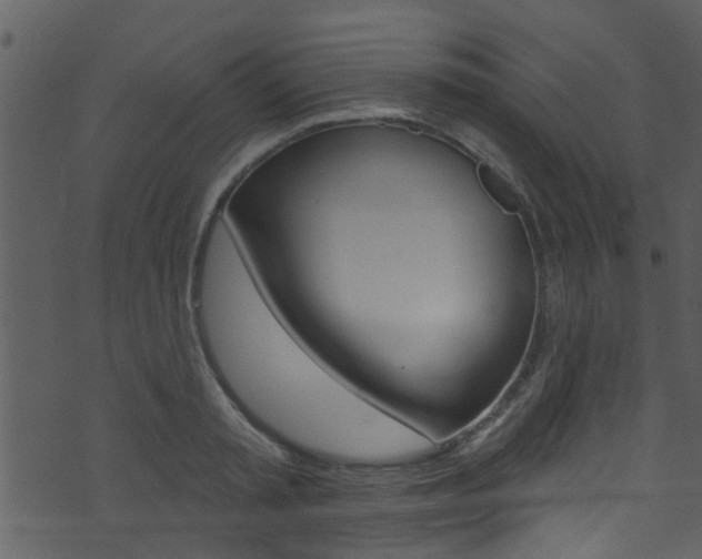 X0000074260797200608250859