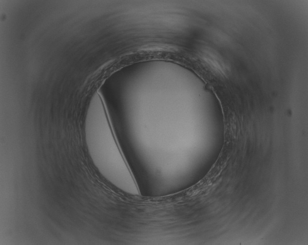 X0000074260821200608250857