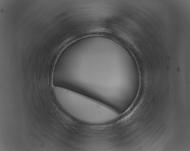 X0000074260825200608250858