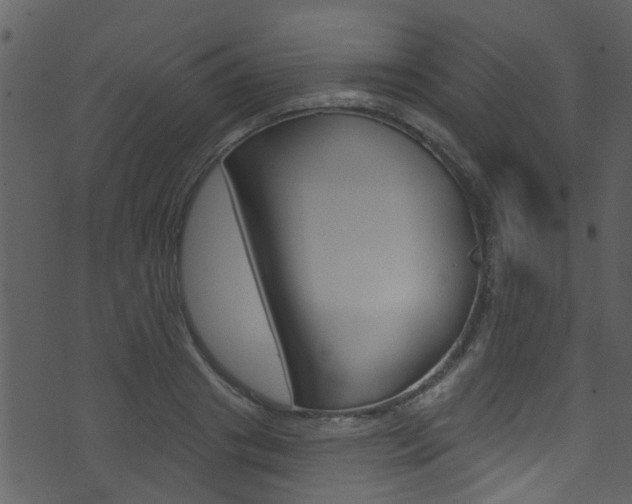 X0000074260841200608250858